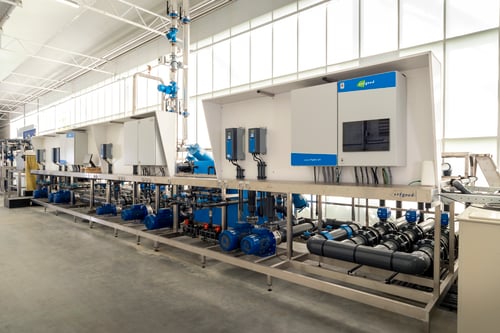 1599_KwekerijDeZuiplas2025