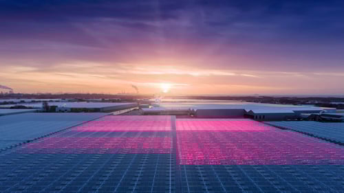 kassen-met-roze-led-verlichting-stockfoto-Kom-in-de-Kas